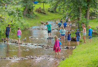 Niños juegan y exploran un arroyo poco profundo rodeado de naturaleza en Camping Paradis Le Giessen, Francia.
