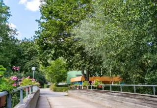 Pasarela de madera en Camping Paradis Le Giessen rodeada de árboles y flores en Grand Est, Francia.