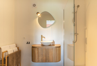 Modern bathroom in Tiny House XL at De Kremmer, Netherlands, with wood vanity and glass shower.