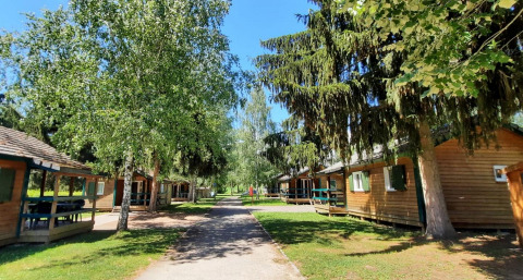 Zonnig uitzicht bij Onlycamp Camping l'Orée d'Alsace met houten chalets, bomen en grasvelden in Frankrijk.