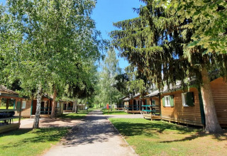 Sunny view at Onlycamp Camping l'Orée d'Alsace, with wooden cabins, lush trees, and green spaces in France.