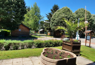 Afbeelding van Onlycamp Camping l'Orée d'Alsace in Grand Est, Frankrijk, met bomen en houten hutten.