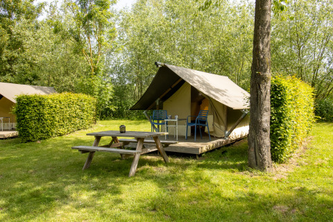 Safari Trekking tent bij Camping 't Geuldal in Nederland, houten picknicktafel en groene struiken.