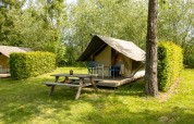 Safari Trekking tent at Campsite 't Geuldal in the Netherlands, wooden picnic table and lush greenery.