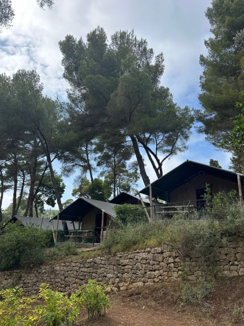 Safari-Zelte im Villatent Compact, umgeben von Pinienbäumen und Steinmauern in einer natürlichen Umgebung.