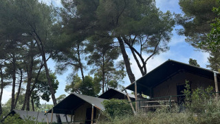 Safari telte på Villatent Compact campingplads omgivet af fyrretræer og stenmure i naturskønt område.