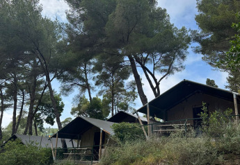Safari telte på Villatent Compact campingplads omgivet af fyrretræer og stenmure i naturskønt område.