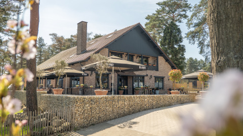 Foto de un acogedor albergue con terraza exterior, sombrillas grandes y flores, rodeado de árboles.