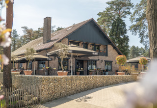 Foto de un acogedor albergue con terraza exterior, sombrillas grandes y flores, rodeado de árboles.