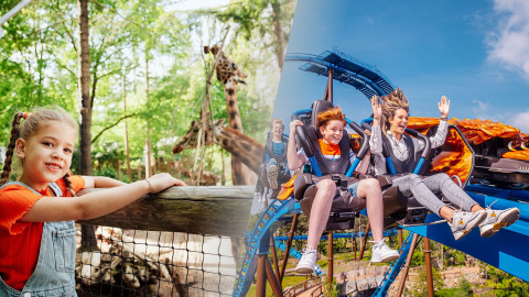 Niña junto a jirafas en el zoológico y dos personas en una montaña rusa en parque de atracciones, día soleado.