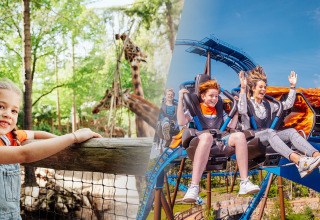 Niña junto a jirafas en el zoológico y dos personas en una montaña rusa en parque de atracciones, día soleado.