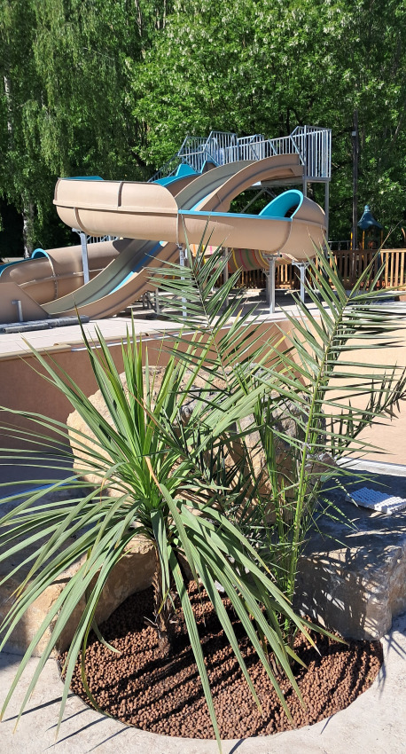 Palmen en glijbanen op Flower Camping Le Pont du Tarn, een vakantiepark in Occitanië, Frankrijk.