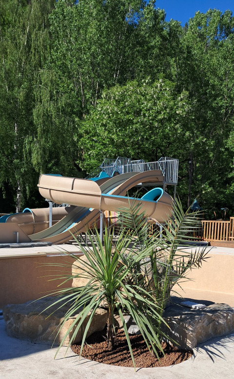 Vandrutsjebaner og tropiske planter på Flower Camping Le Pont du Tarn, feriested i Occitanie, Frankrig.