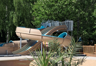 Waterslides and tropical plants at Flower Camping Le Pont du Tarn, a holiday park in Occitanie, France.