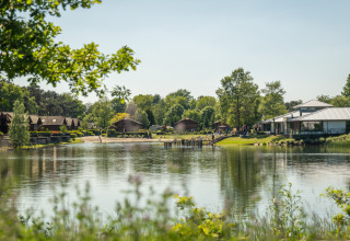 Un lodge paisible au bord d’un lac avec des cabanes, des arbres verdoyants et un ciel ensoleillé.