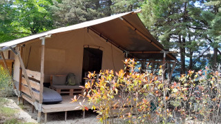 Safari tent with covered veranda and private sanitary facilities set among trees and shrubs in nature.