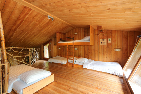 Houten slaapzaal van Nature Lodge in De Wije Werelt, Nederland, met eenpersoonsbedden en stapelbed.