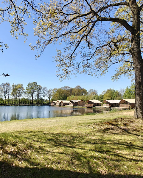 Blick auf den See und Hütten des Campingplatzes De Rammelbeek in Overijssel, Niederlande, an einem sonnigen Tag.