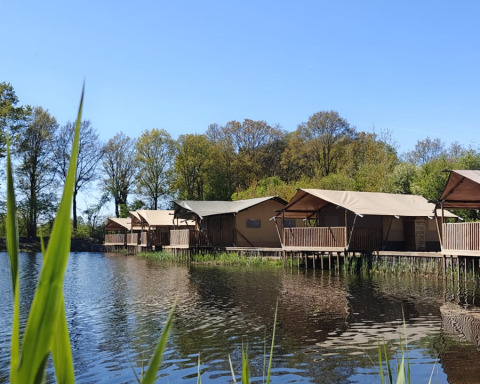 Safarizelte auf Stelzen am See im Ferienpark De Rammelbeek in Overijssel, von Bäumen umgeben.