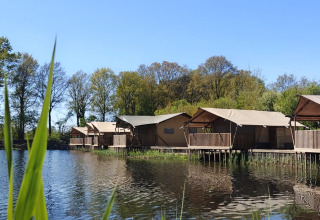 Safarizelte auf Stelzen am See im Ferienpark De Rammelbeek in Overijssel, von Bäumen umgeben.