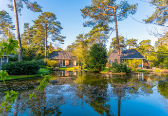 Moderne Tiny Houses am ruhigen Teich in Beekbergen, Niederlande, umgeben von Bäumen und Natur.
