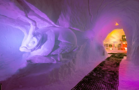 Ingang Iglo Lodge Burgberg met prachtige ijsbeelden en gekleurde verlichting, glamping in Beieren.