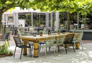 Zona de comedor exterior con mesa de madera y sillas modernas bajo árboles en un alojamiento glamping.