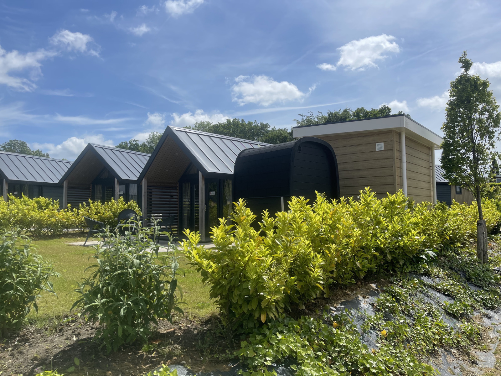 «Berg» Lodge