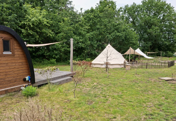 Basecamp Bell tent bij Thuysgrond in Nederland, met houten hut, tenten en bosrand op de achtergrond.