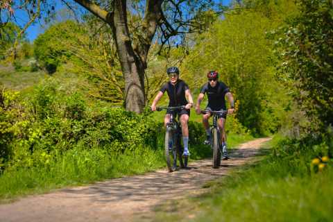 To personer cykler på en skovsti omgivet af frodig natur under et ophold på et glampingsted.