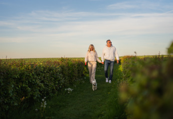 Pareja camina de la mano con su perro por sendero verde en alojamiento glamping al atardecer.