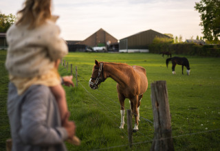 Ein Erwachsener mit Kind betrachtet Pferde auf einer Weide bei einer Glamping-Unterkunft mit Scheunen.