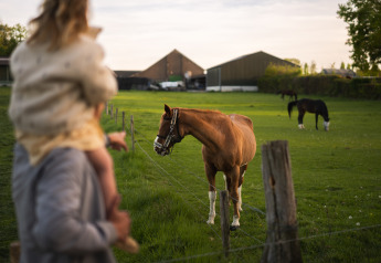 An adult with a child on their shoulders watching horses in a field near a glamping site with barns behind.