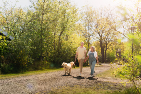 Paar spaziert mit Hund an einem sonnigen Tag auf einem Glamping-Gelände, umgeben von grüner Natur