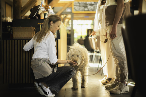 Eine Kellnerin füttert einen Hund drinnen im Nature house Barn auf dem Campingplatz Si-Es-An in den Niederlanden.