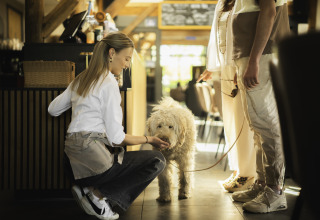 A waitress feeds a dog indoors at Nature house Barn at Campsite Si-Es-An in the Netherlands.