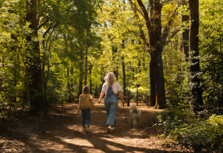 Mutter und Tochter spazieren mit Hund durch einen grünen Wald nahe ihrer Glamping-Unterkunft.