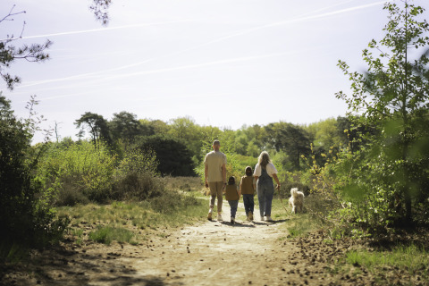 Eine Familie mit Hund spaziert auf einem Waldweg während ihres Glamping-Urlaubs an einem sonnigen Tag.