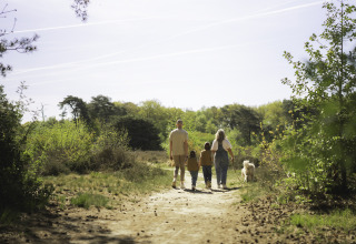 A family and their dog walk along a forest path at their glamping accommodation on a sunny day.