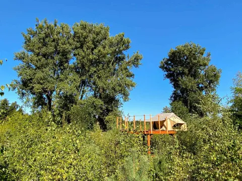 Glamping tent on a raised platform surrounded by lush green trees at Dachzelt Dorf Sandstedt, Germany.