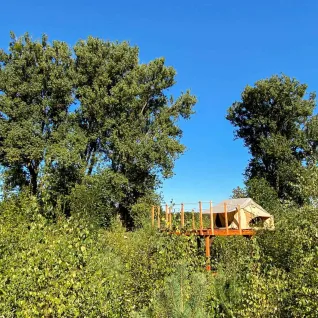 Glamping-Unterkunft auf Plattform zwischen grünen Bäumen im Dachzelt Dorf Sandstedt, Niedersachsen.