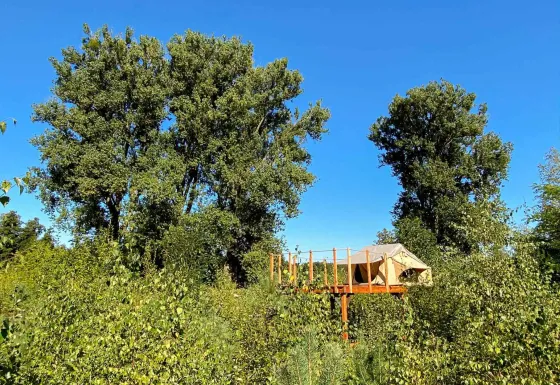 Glamping tent op een verhoogd platform tussen groene bomen bij Dachzelt Dorf Sandstedt, Nedersaksen.