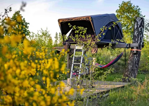 Elevated tent on platform at Dachzelt Dorf Sandstedt glampsite, surrounded by trees and yellow wildflowers.