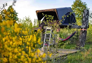 Elevated tent on platform at Dachzelt Dorf Sandstedt glampsite, surrounded by trees and yellow wildflowers.