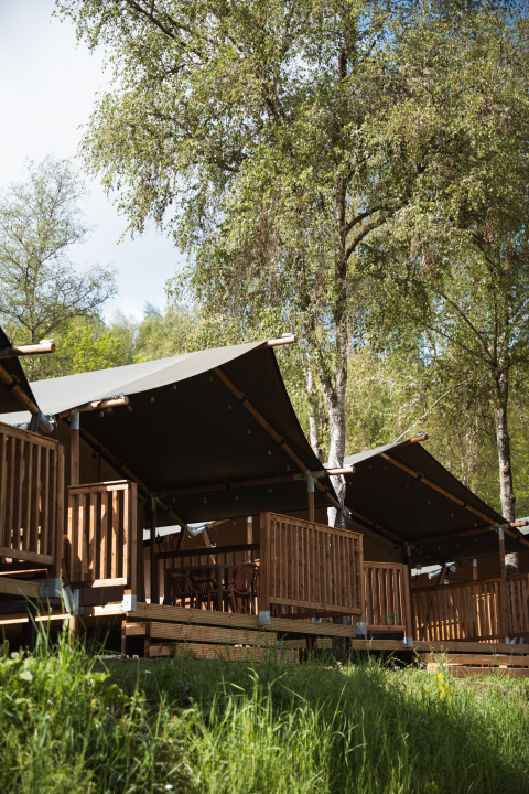 Safari-telt på Hameau de l'Ourthe i Belgien, omgivet af grønne træer og solrigt vejr, set udefra.
