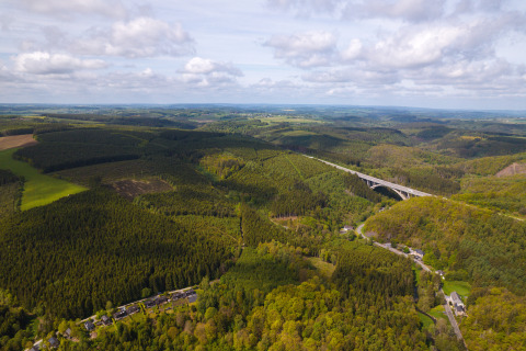 Vista aerea di fitte foreste verdi e un ponte vicino alla Safari Tent ad Hameau de l'Ourthe, Belgio.
