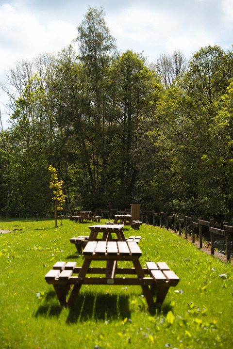 Picnic tables on a grassy lawn bordered by trees at Safari Tent, Hameau de l'Ourthe, Belgium.