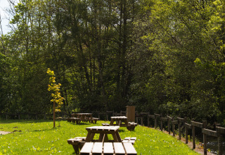 Picnic tables on a grassy lawn bordered by trees at Safari Tent, Hameau de l'Ourthe, Belgium.