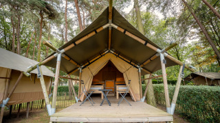 Tente safari Duo Lodge à Goolderheide en Belgique, avec terrasse en bois et vue sur la forêt.