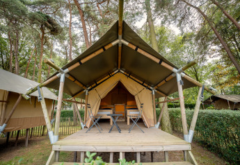 Tienda safari Duo Lodge en Goolderheide, Bélgica, con terraza de madera y vistas al bosque.